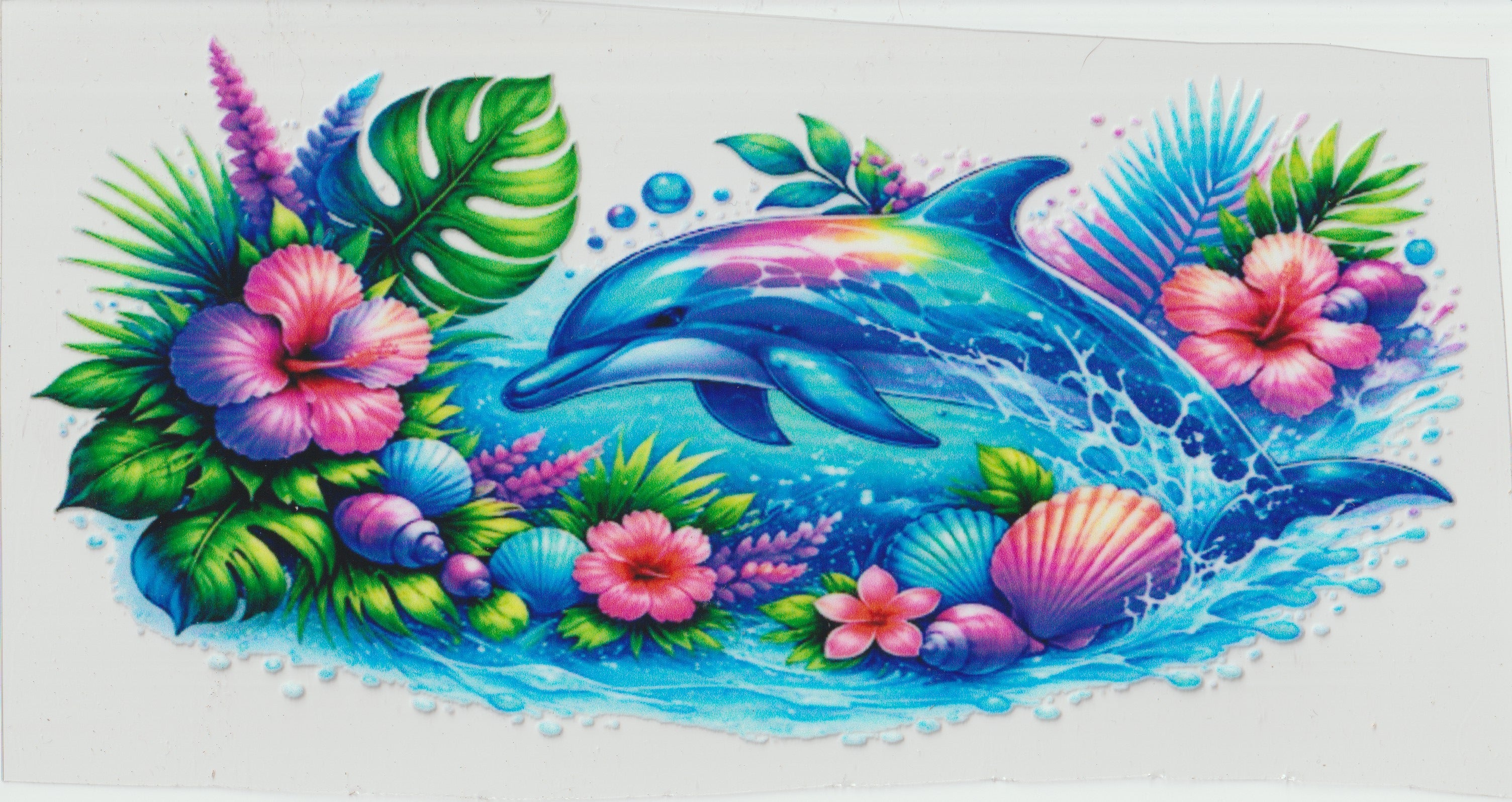 Dolphin