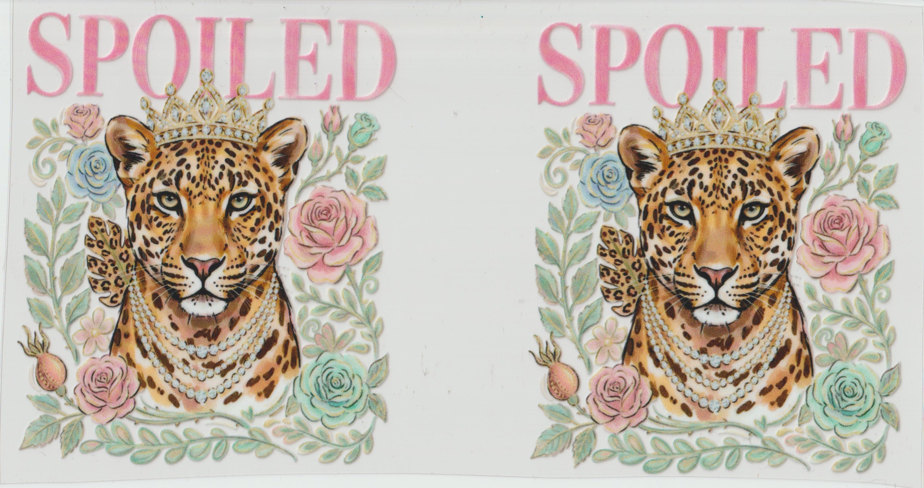 Soiled Cheetah