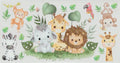 Baby Zoo