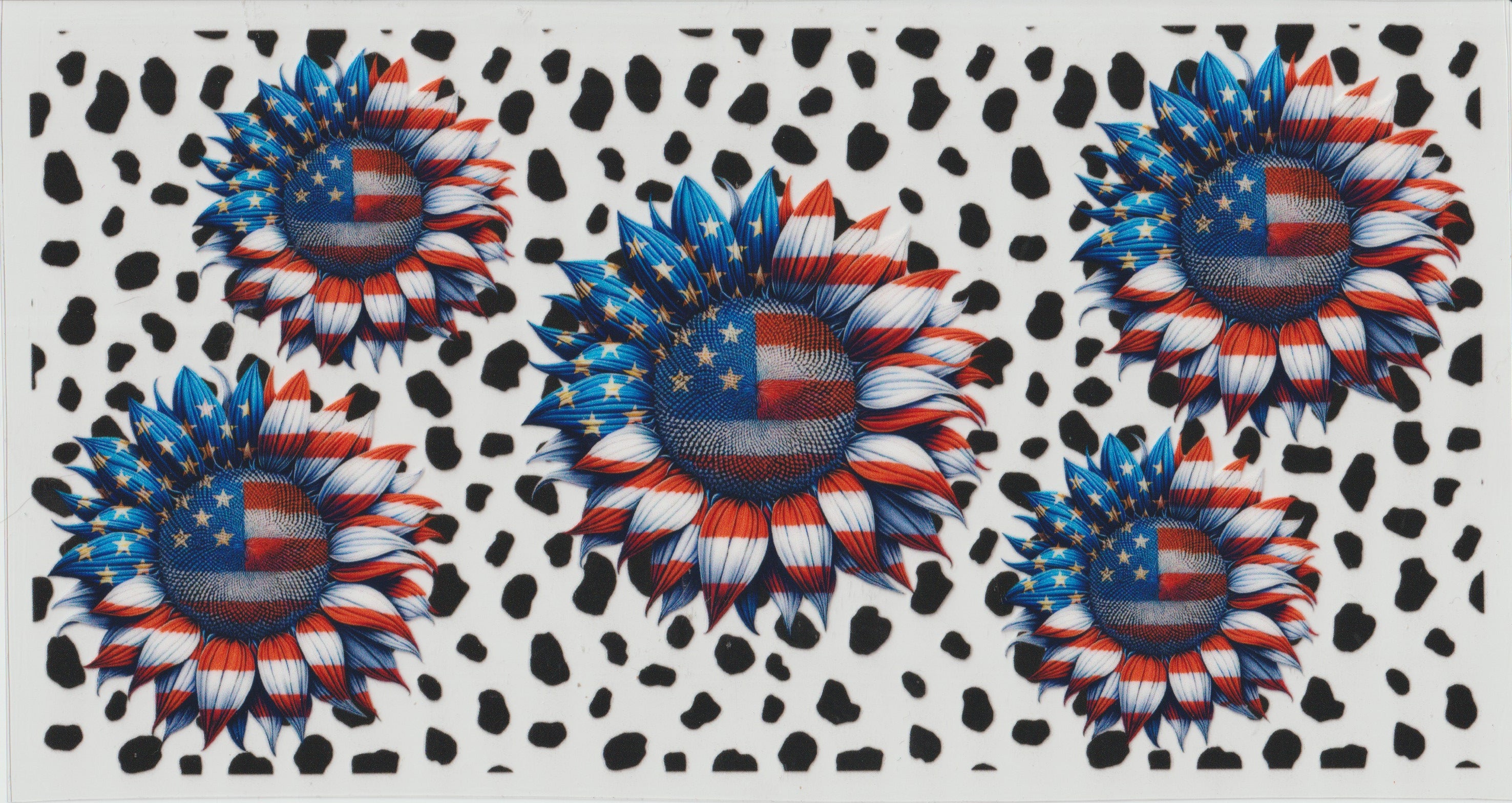 Sunflower 4th of July