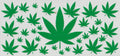 Green Leaf