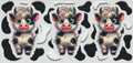 3 Wild hair moo moo's