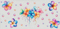 Rainbow Flowers