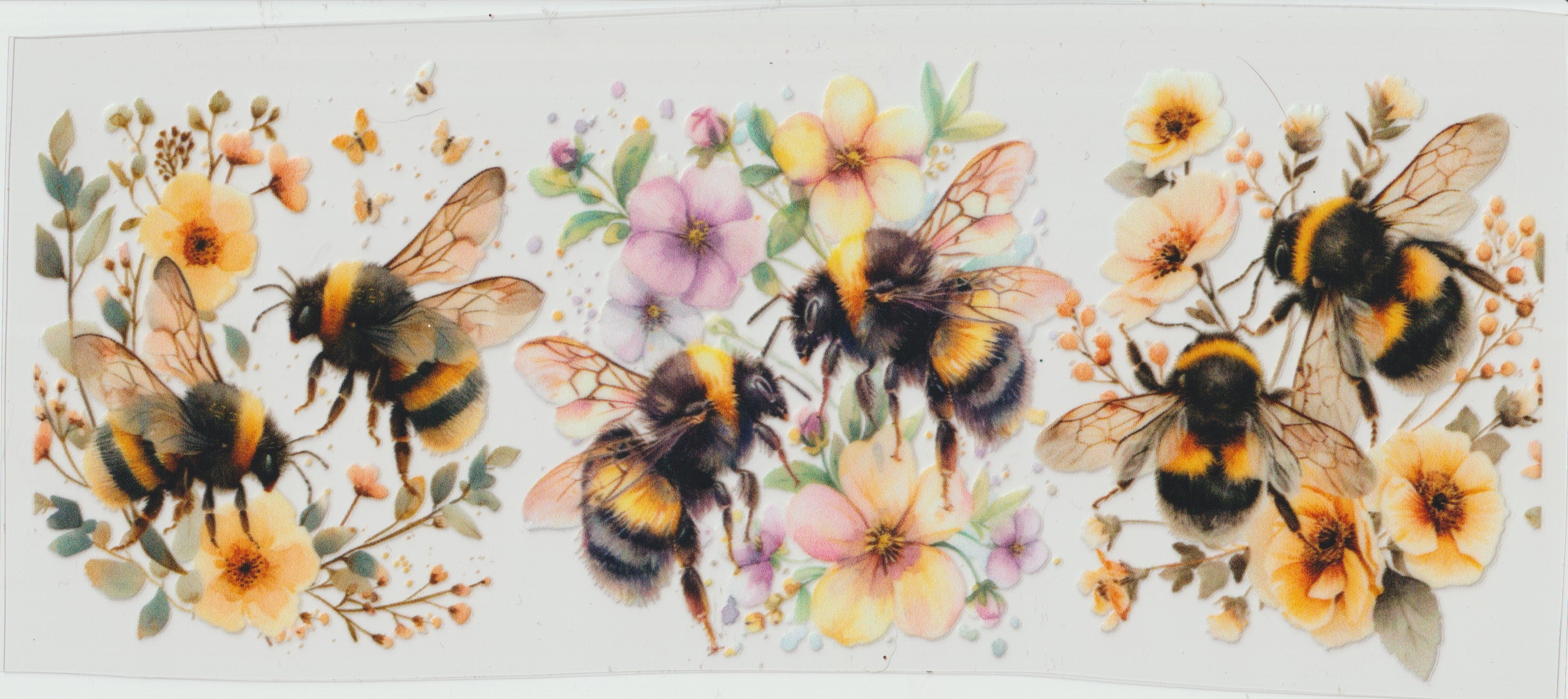 Bee big