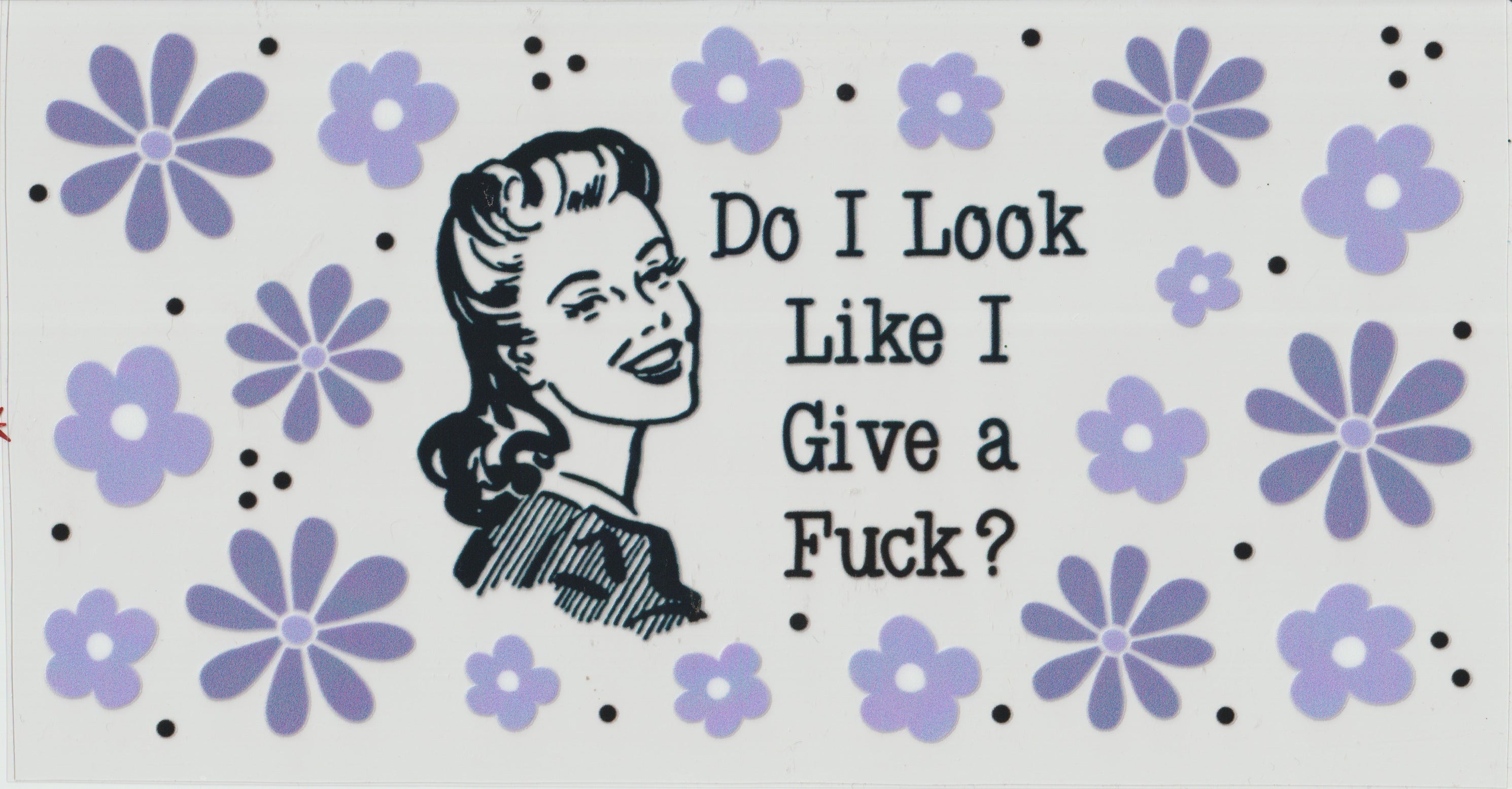 Do I look like I give a fuck