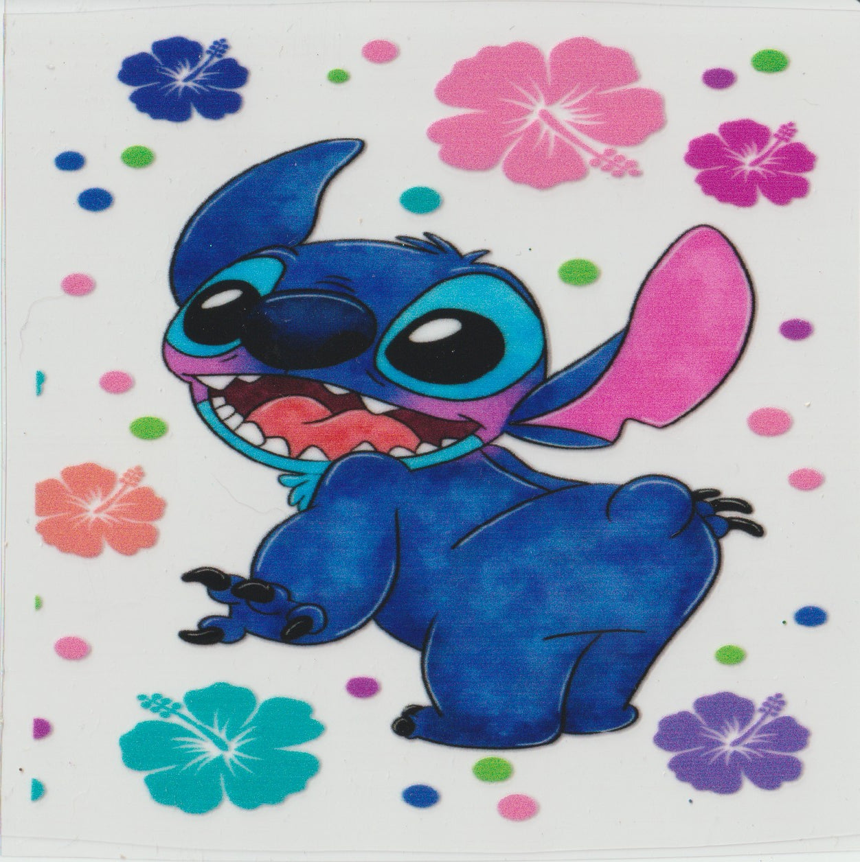 Stitch booty
