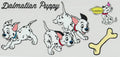 Dalmations