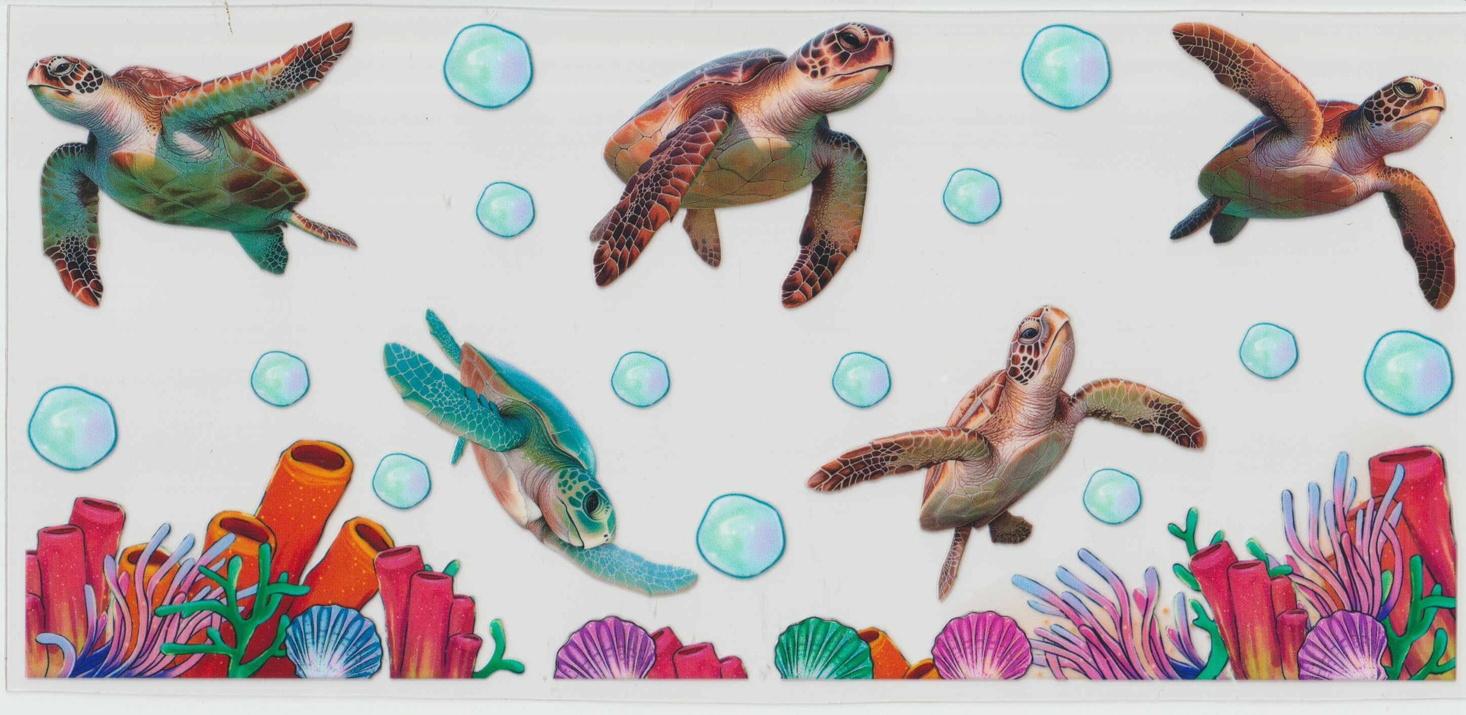 5 Sea Turtles