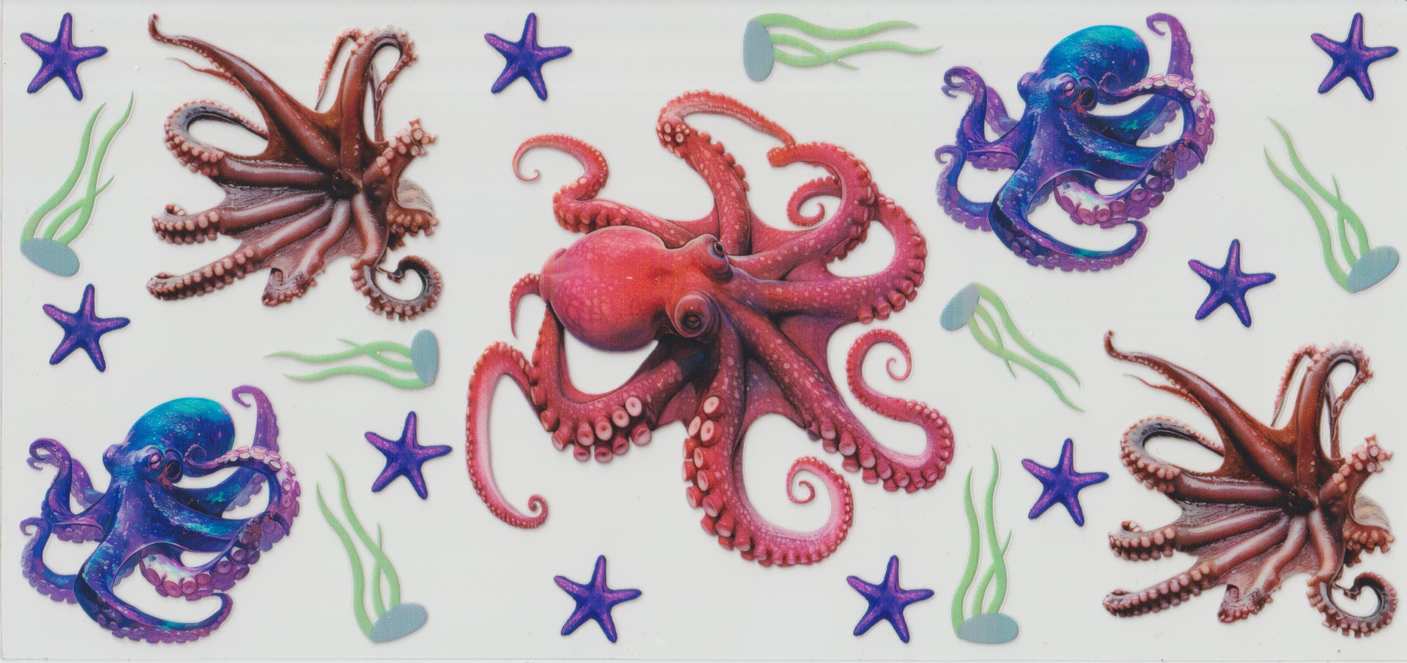 5 Octopus'